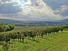 Prosecco tour